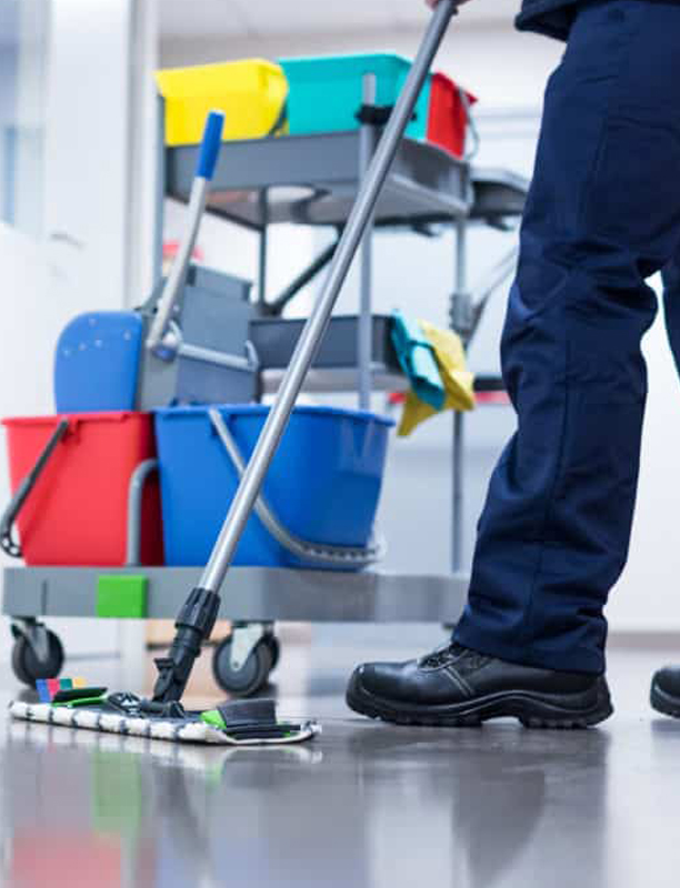 Sistemas de Gestão de Qualidade